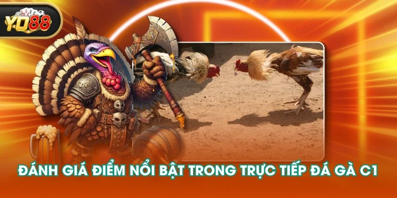 Đánh giá điểm nổi bật trong trực tiếp đá gà C1 Đánh giá điểm nổi bật trong trực tiếp đá gà C1